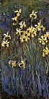 Yellow Irises 2